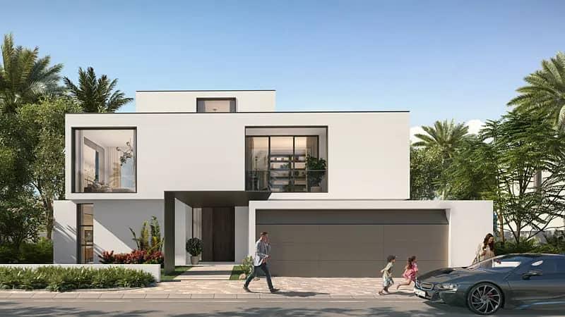 Palmiera 2