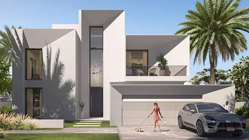 Palmiera 3